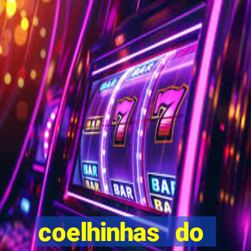 coelhinhas do brasil recife